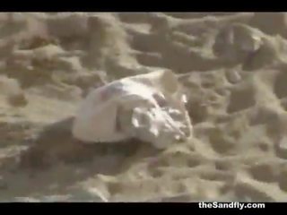 Thesandfly 业余 海滩 大 性别!