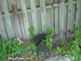 Doggystyling ঐ hitch hiker