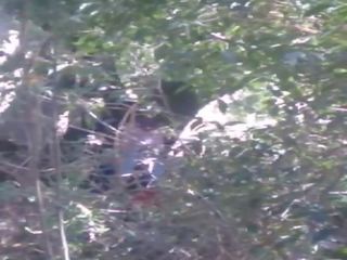 Pareja cojiendo it bosque morelia michoacan: gratis adulti clip 12