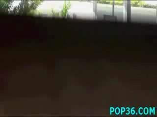 小雞 一對 他媽的 性交